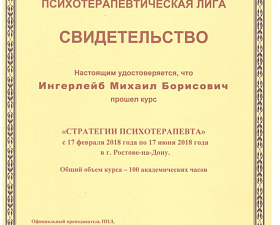 Ингерлейб Михаил Борисович профессиональное свидетельство